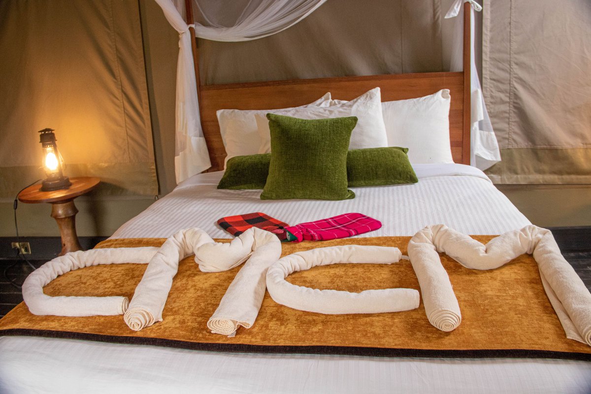 CampCastel's tweet photo. Comfy bed? Check. 
A little rest, a little luxury, and a whole lot of good vibes at Castel Mara. 
Because every great adventure deserves a cozy place to unwind! 

Book (+254) 0758955220
https://t.co/WeUE3LDOWk https://t.co/jfsSn0i3cm