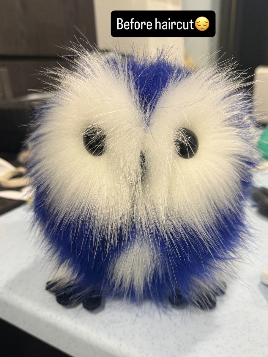 SkyeruuArt's tweet photo. Made a lil owl 😔 https://t.co/cUkXgx0MaB