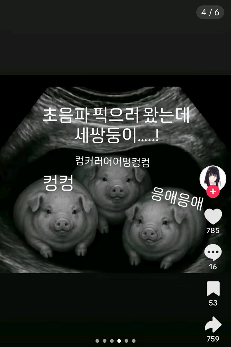 gogorronn's tweet photo. @tanuk1soon 돼지들아기다려라 엄마가간다 https://t.co/BQIzPZ9BNQ
