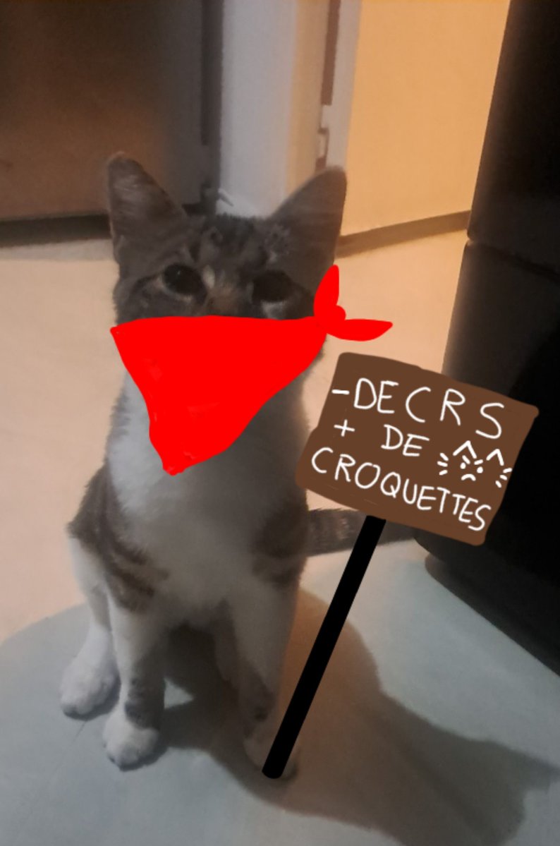 Yuki777562's tweet photo. Bébé est prêt pour la manif!!!!! https://t.co/Vd0zSdRqKo