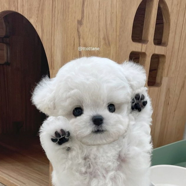 OJosiano's tweet photo. ダンボール捨てるの断捨離かな？w https://t.co/XJCPb6I6KE