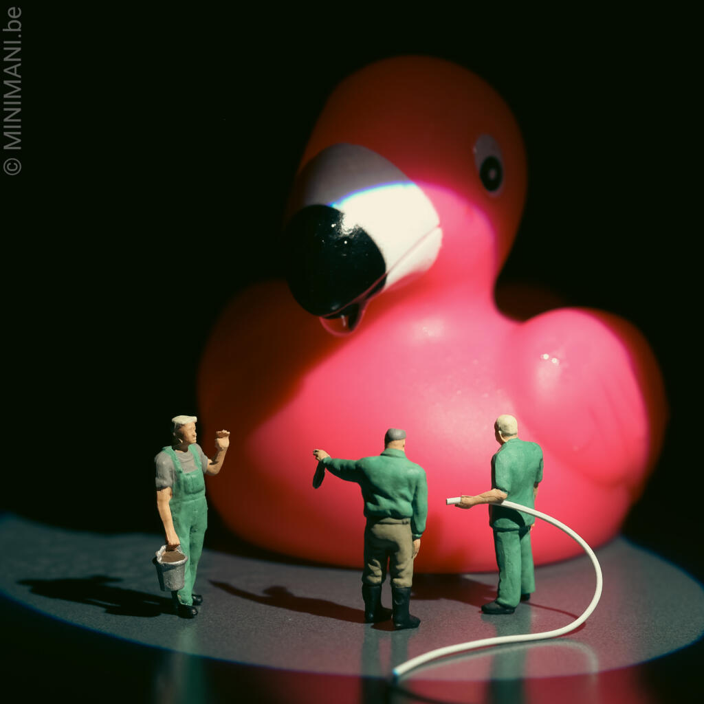 MINIMANI_be's tweet photo. One pink flamingo. A tiny committee. One very important fish. Bring a little curiosity to your classroom or reading corner. Explore the story on MINIMANI. #MiniaturePhotography #CuriousMinds #ClassroomDecor minimani.​be/en/2026/05/03/do-flamingos-eat-fish/ https://t.co/XqCAXqDe7J