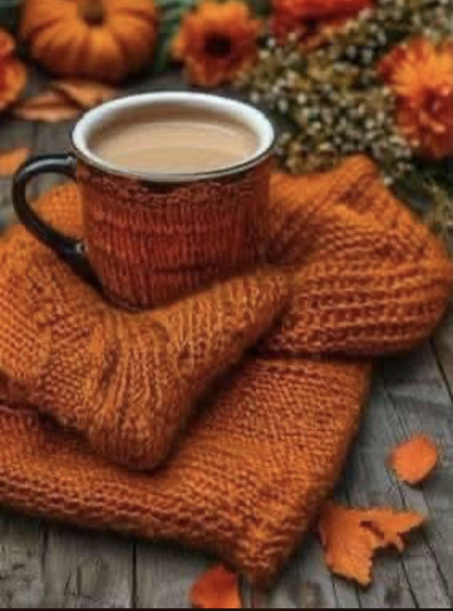 sa63346's tweet photo. نحن بحاجة لقلوب صادقة 
لا تتغير مهما عصفت بهم الأيام🍂🍁❤️🧡
#صباح_الخير_والسعادة https://t.co/CZT4grnbh3