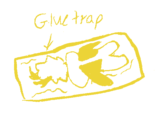 sn0wymelons's tweet photo. Freaking yellow think https://t.co/Sc6mRJDwbi