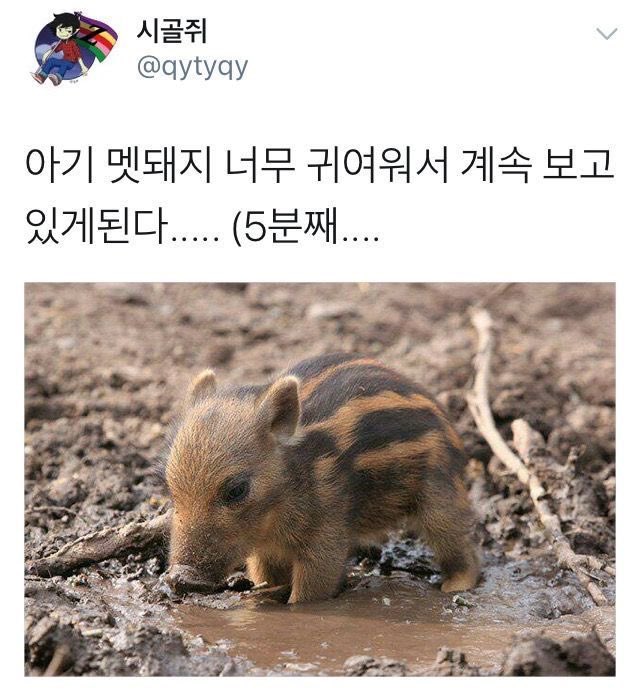 gogorronn's tweet photo. https://t.co/qZGtqbKoxA