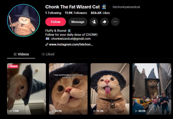 guhhhonchain's tweet photo. Remember the Cheeseball the wizard cat that ran over 100 mill last halloween 

I just found the original cat that it was modeled after 

The Fat Wizard Cat
Chonk

https://t.co/RXBRwEKRP4

Even has the cheeseball picture as the pfp and the perfect halloween animal runner

Over 5 milllion views on the account in the last couple days

People are even commenting "he is real??" bc they remember cheeseball