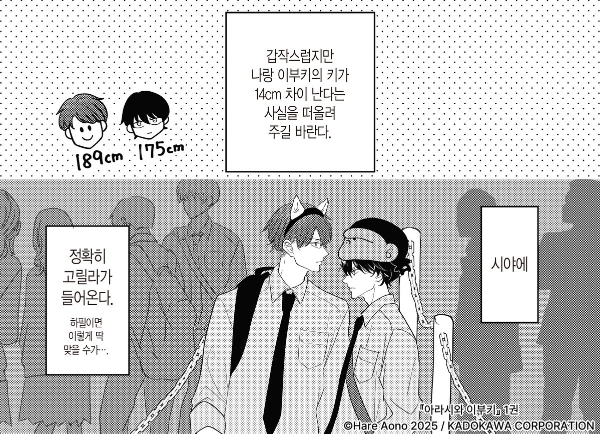 of_seeply_leak's tweet photo. 이상적인 커플의 키 차이가 15cm라던데···
너넨데 완전? 딱인데?
 
심지어 둘이 커플이 됐을 때를 상상한다고??

189cm 대형견공× 175cm 까칠수
고3 남학생들의 청게BL

『아라시와 이부키』1,2권

#청게 #BL #BL만화 https://t.co/sDN5H93RKp