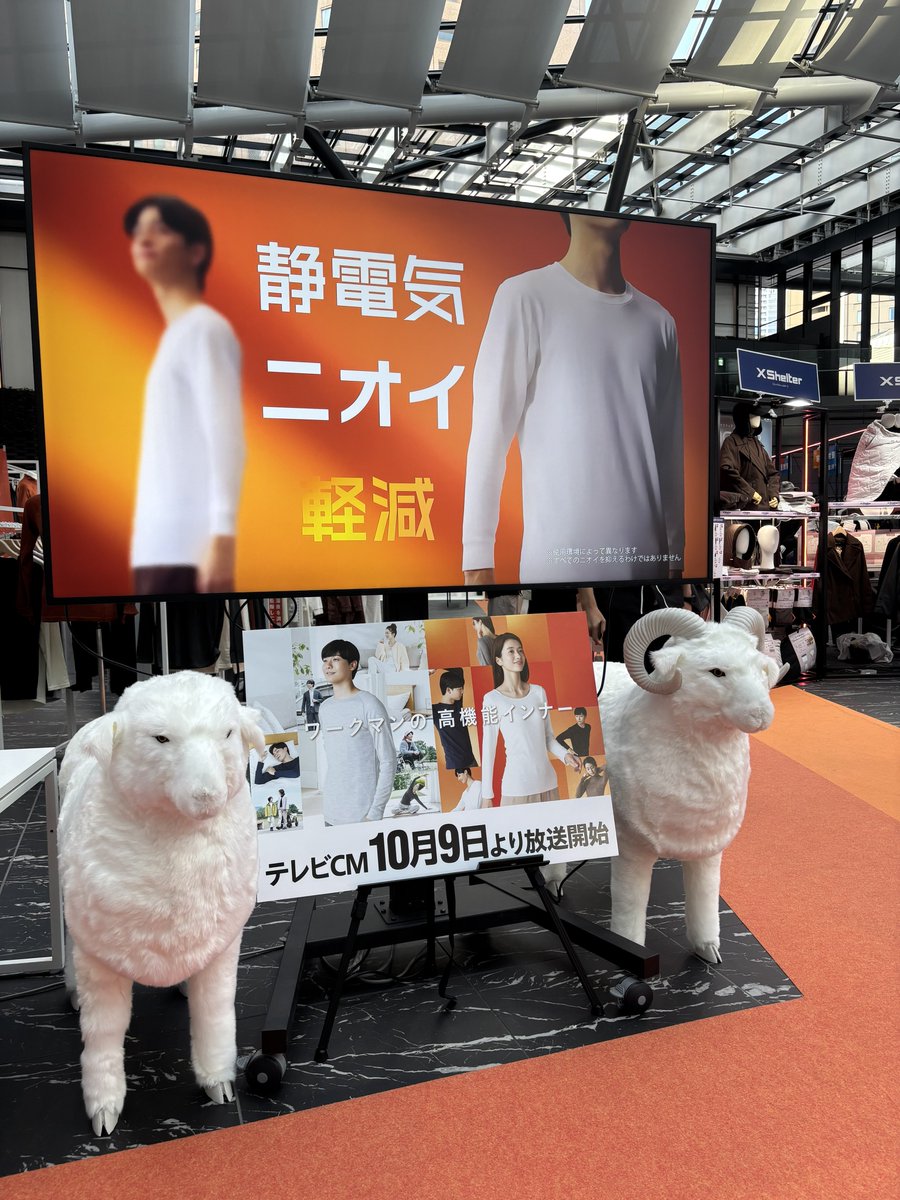 t_asuka's tweet photo. 機能美の進化が凄すぎるワークマンの展示会にご招待いただきました✨ この秋服から着る断熱材のXShelterのモデルさんがTOKIOの松岡くんに！！鉄腕DASHでの活躍も印象に残っているしワークマンのイメージになんだかピッタリだなぁーと大興奮♡
XShelter Σ （シグマ）��可愛い女性用バージョンもこの秋服から発売されてましたよ！外部気温30°C～5°C対応で、断熱・断光・断湿さらに撥水と、ものっすごく機能美！！

あとね、女子の皆んなには吸湿発熱性のあるメリノウール入りの下着と靴下がオススメすぎたよ！！ノンワイヤーでウールでこのお値段😳✨