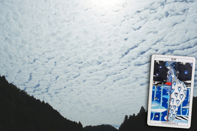 marjietarot's tweet photo. In Japan, seeing “uroko-gumo” — delicate clouds that look like fish scales — in the sky is a sign of autumn. 🍂
Clear autumn days are perfect for a picnic or a relaxing day outdoors.
Today’s Tarot card: Temperance 🕊️
Take it slow. Relax. Enjoy the moment. ✨

#Tarot #Temperance https://t.co/a1zk53pjUu