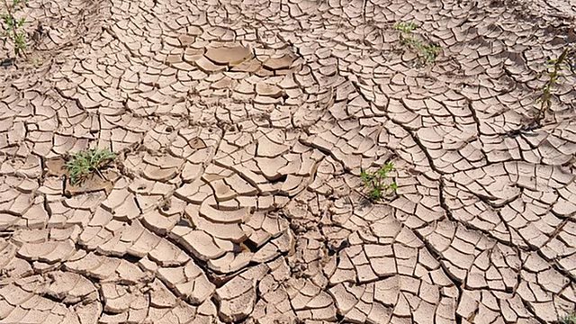 sardesairajdeep's tweet photo. INTERESTING: FULL PAGE ads from the Shiv Sena (Shinde group) in every newspaper (or at least the ones I read) celebrating PM@25. 
Meanwhile, large parts of Maharashtra are facing a major drought with severe water shortage. Mr @mieknathshinde has reportedly raised the drought issue in his recent meeting with PM. Hopefully, monies will reach the distressed farmers too! 🙏