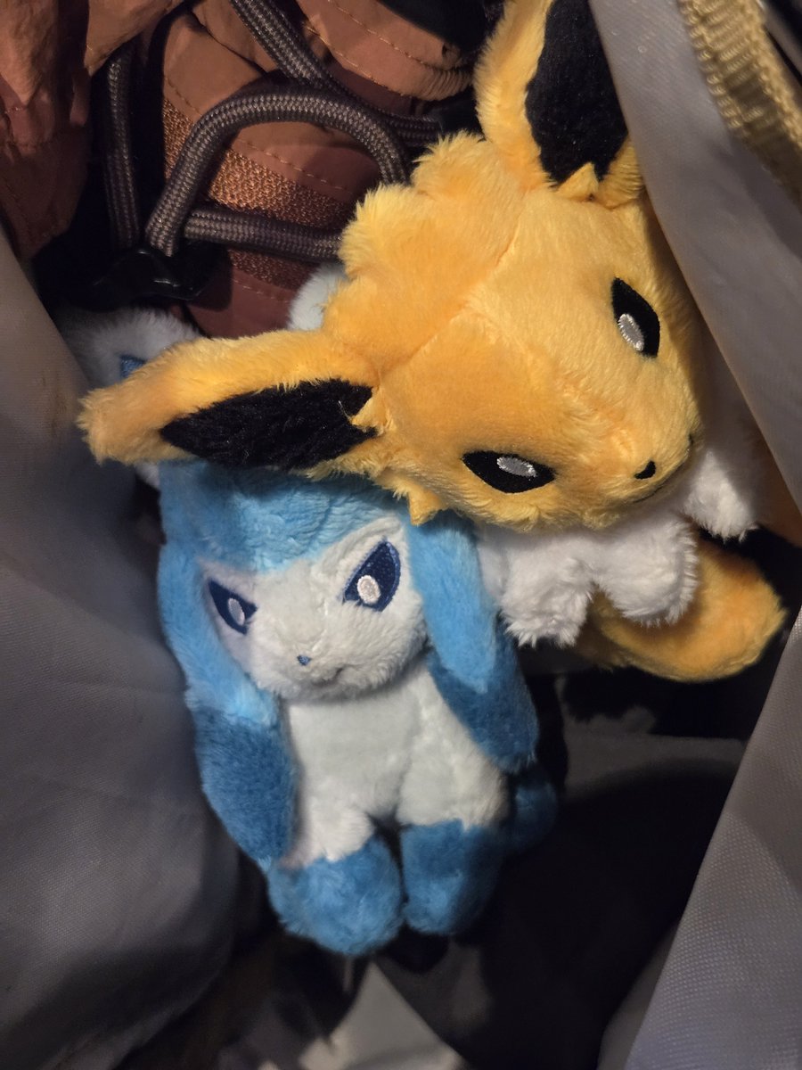 meltypro's tweet photo. @milkyr05e https://t.co/vg9lMGPijQ