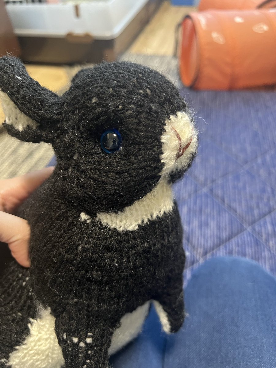 musubi_knitting's tweet photo. やべーかわいいかもしれぬ https://t.co/OqoQX3ytUh