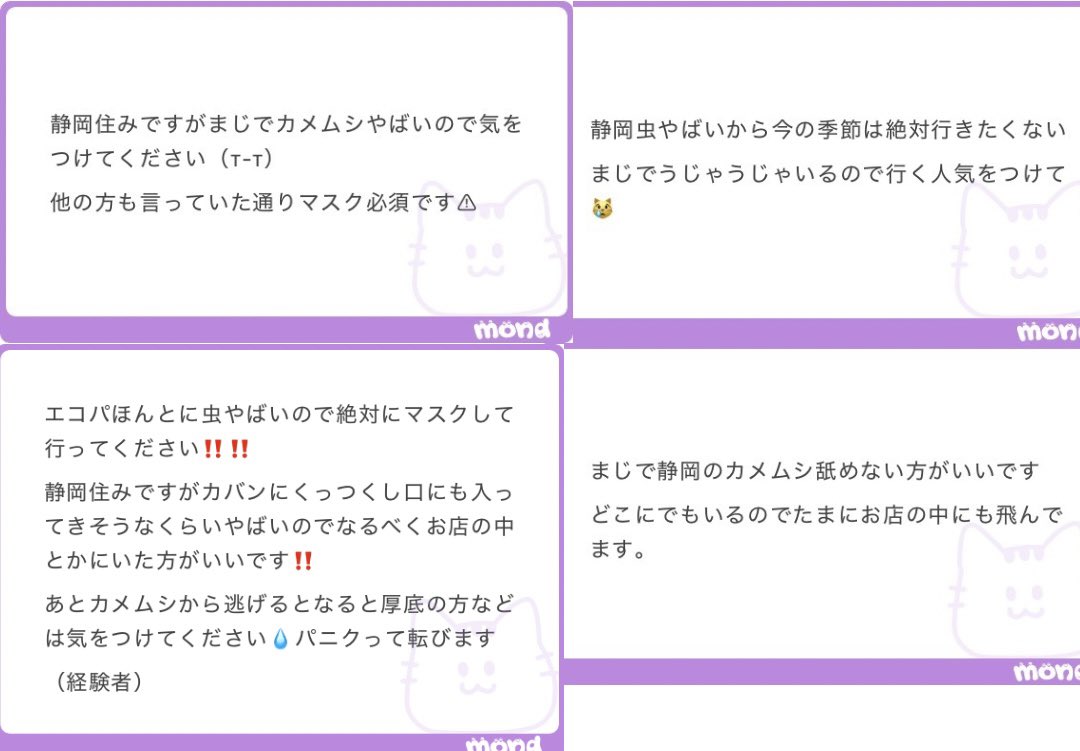 IeIx5h's tweet photo. 静岡 カメムシ https://t.co/v2cmOhCPmQ
