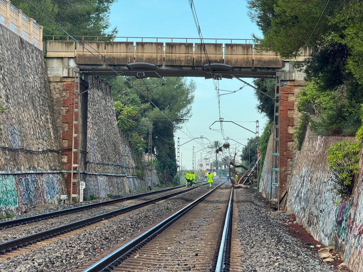 rubencabus's tweet photo. 🌳La caiguda d'un arbre a Vilanova i la Geltrú genera una nova plantada dels maquinistes de Rodalies. 
El servei es reprèn un cop els sindicats han rebut l'informe que certifica la seguretat de la xarxa. 
📸 de @clarapamies 
Minut a minut a @3catinfo 👉 https://t.co/PqenxVsEla https://t.co/1KcvSMkHig