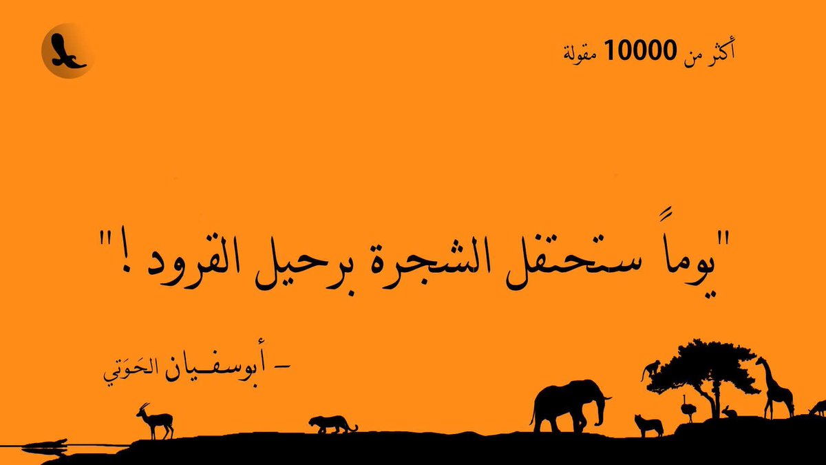 Basmatopia's tweet photo. الغابة البرتقالية🧡 https://t.co/t4YZrO2rmc