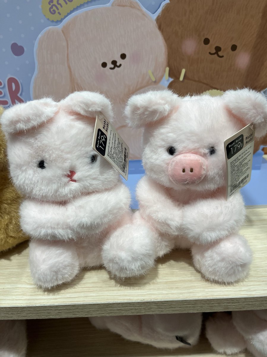 nongnorieieiza's tweet photo. ชิกับแอน 🐇🐖 💨 https://t.co/1D8lHyVPIY