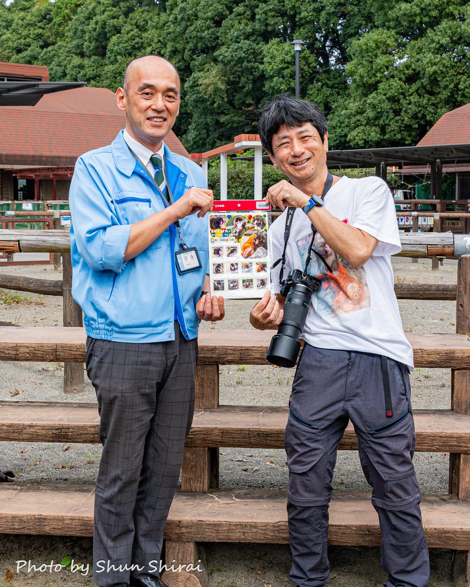 JUN1785's tweet photo. 今日パンチくん切手をいただきました☺️
パンチくん切手に使用する写真６枚を無償で提供したということで、市川市動植物園のご厚意で切手の実物を１セットお分けいただけるというありがたいお話があり、今日受け取りに伺いました。

今や超有名人の動植物園課長の安永さんが園内で直接渡してくれて記念撮影✨️
当分ゲットするのは難しいかなと思っていたので、手にすることができてほんと嬉しい☺️
撮った写真を切手にしてもらえること自体とっても光栄でありがたいですし、改めて市川市動植物園の皆さん、そしてパンチくんに感謝!!

大人気のパンチくん切手は数量限定の販売からやっと受注販売に切り替わることが決まりましたね♪
これからは欲しい方全員に切手が行き渡ることができそうでよかったです😃

サル山はまだ工事が続いて観覧休止中なので今日はパンチくんに会えませんでしたが、また何か機会があれば写真で市川市動植物園を応援＆貢献できるよう、これからも撮影頑張ります!!

※写真の盗用・無断転載は厳禁!!（SNS公式機能のリポストのみOK）
📍 市川市動植物園
📸 2026/10/7
©Shun Shirai – All Rights Reserved. No Unauthorized use my photo❢

As I provided six photos for the "Punch-kun" stamps free of charge, the Ichikawa City Zoo kindly gave me one actual set of the stamps.
📍 Ichikawa City Zoological and Botanical Garden,Chiba Japan
📸 Oct 7,2026

#がんばれパンチ #がんばってるねパンチ #市川市動植物園 #パンチくん #punch #パンチ #punchkun #punchthemonkey #千葉 #市川 #千葉県 #市川市 #japan #切手 #stamp
