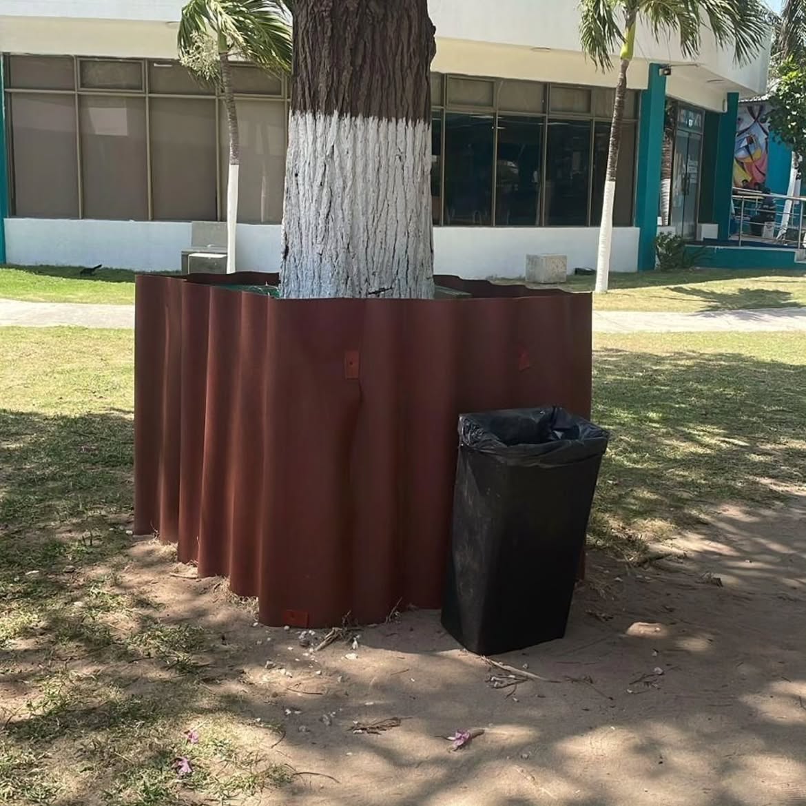 PlataformaALTO's tweet photo. Actualización sobre las iguanas en la universidad @USanMartinCO que explicaría por qué no mandan fotos actuales con sus comunicados: 😠
"Retiraron las tejas pegadas a los árboles pero las pusieron en forma de cerca con malla, las iguanas que logran trepar caen dentro de la malla y no sabemos que harán con ellas. Estas imágenes son recientes y enviadas por el mismo personal de la universidad". 

Fotos y denuncia: Fundación Colitascallejerasbq

Organizaciones animalistas y ambientalistas de Barranquilla anuncian que hasta que no haya soluciones reales a favor de las iguanas no dejaran de tener el ojo puesto en esta institución universitaria. Piden acción de las autoridades.