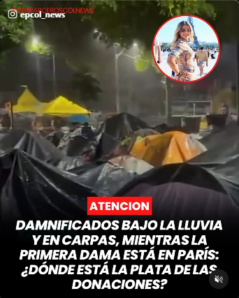 laconversafind1's tweet photo. 🖐️ #Pare 👓 #Vea 🤔 #Reflexione 
▶️ No deja de indignar cómo se calla, se justifica o hasta se aplaude el total irrespeto por la ley de #Abelardo_Ilegítimo, ahora #ADLE pretende pagar, con nuestros impuestos, defensa de sicarios; mientras no dan soluciones víctimas de terremoto. https://t.co/IvCamhUqZv