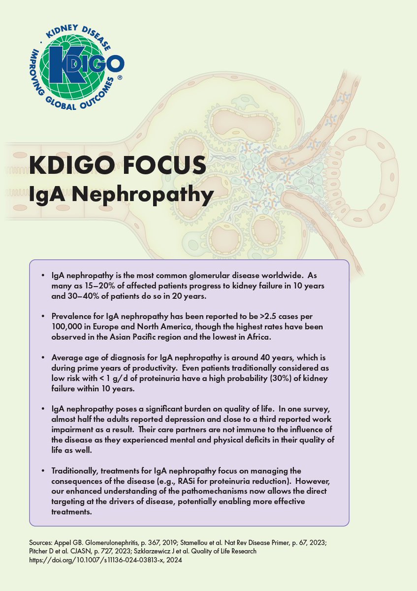 edgarvlermamd's tweet photo. IgA Nephropathy #IgAN: Pathophysiology and Mechanistic Targets ๐ฏ of Potential Novel Therapies from @goKDIGO
#Nephpearls
๐ https://t.co/Eb3BaeBzUh https://t.co/e9oDbzX7Ca