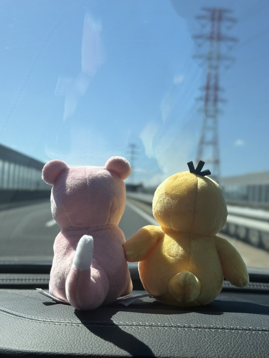 yuu_yadonnn's tweet photo. ヤドンとコダックと一緒にドライブ🚗 https://t.co/goXVH15Fmg