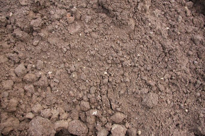 NatureRevMicro's tweet photo. New online! Remediation restores soil carbon dlvr.​it/TVpxFK https://t.co/ZYgN7YElfO