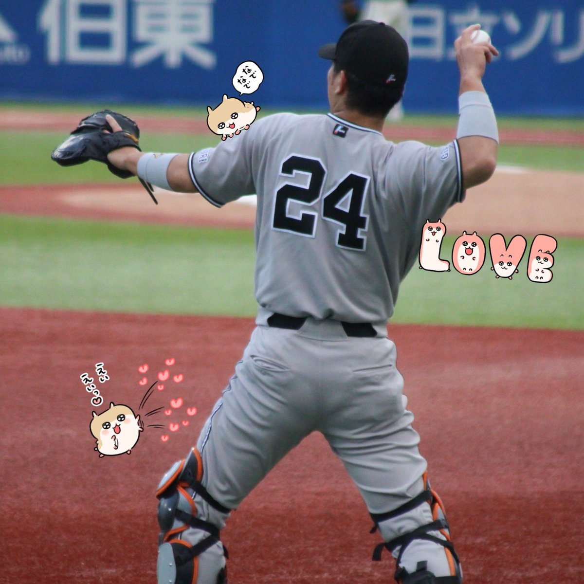 everyday_muchu's tweet photo. おおきいせなか！かっこいい！ https://t.co/p4LuIBJzrL