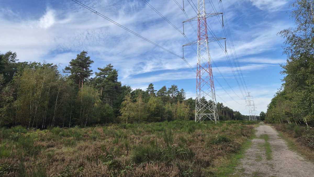 WilsPeter216641's tweet photo. ##vrtweer Zutendaal 14.46
Zalig wandelweer https://t.co/ZAMpvMkrKM
