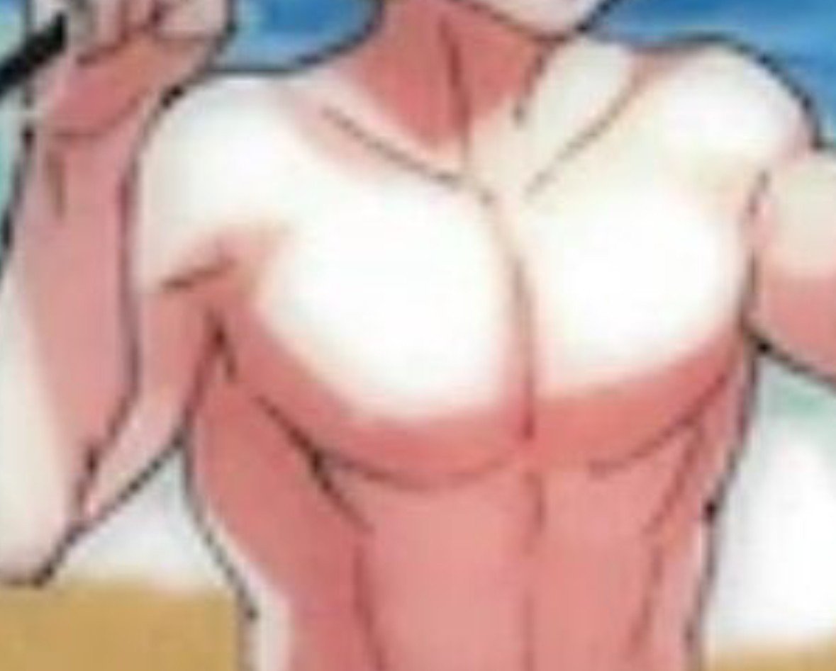 G1llgamesh's tweet photo. Gilgamesh's chest https://t.co/ypIa3WX8wC