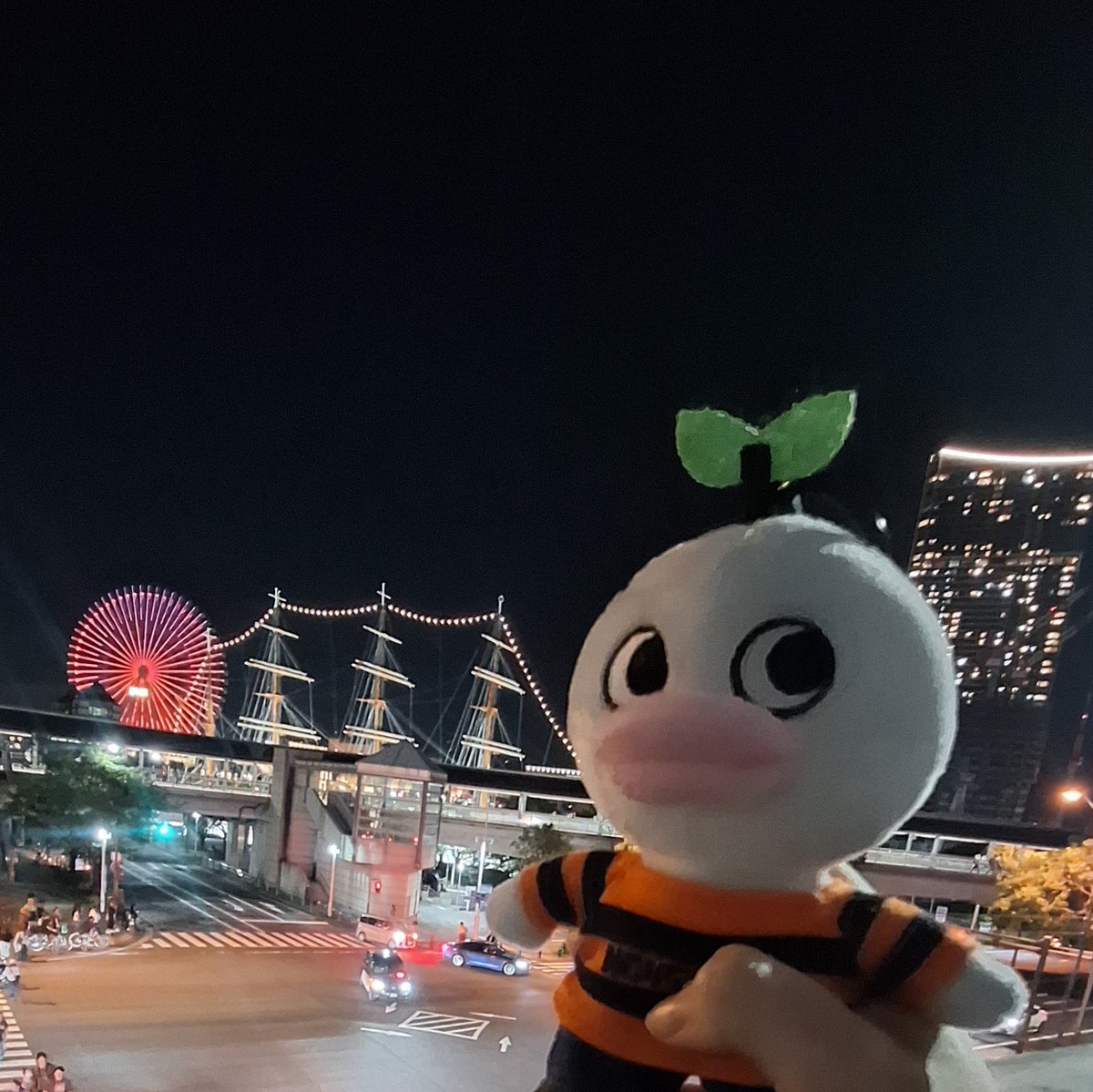sarcat_92's tweet photo. また明日♡ https://t.co/QQOyaQme8X