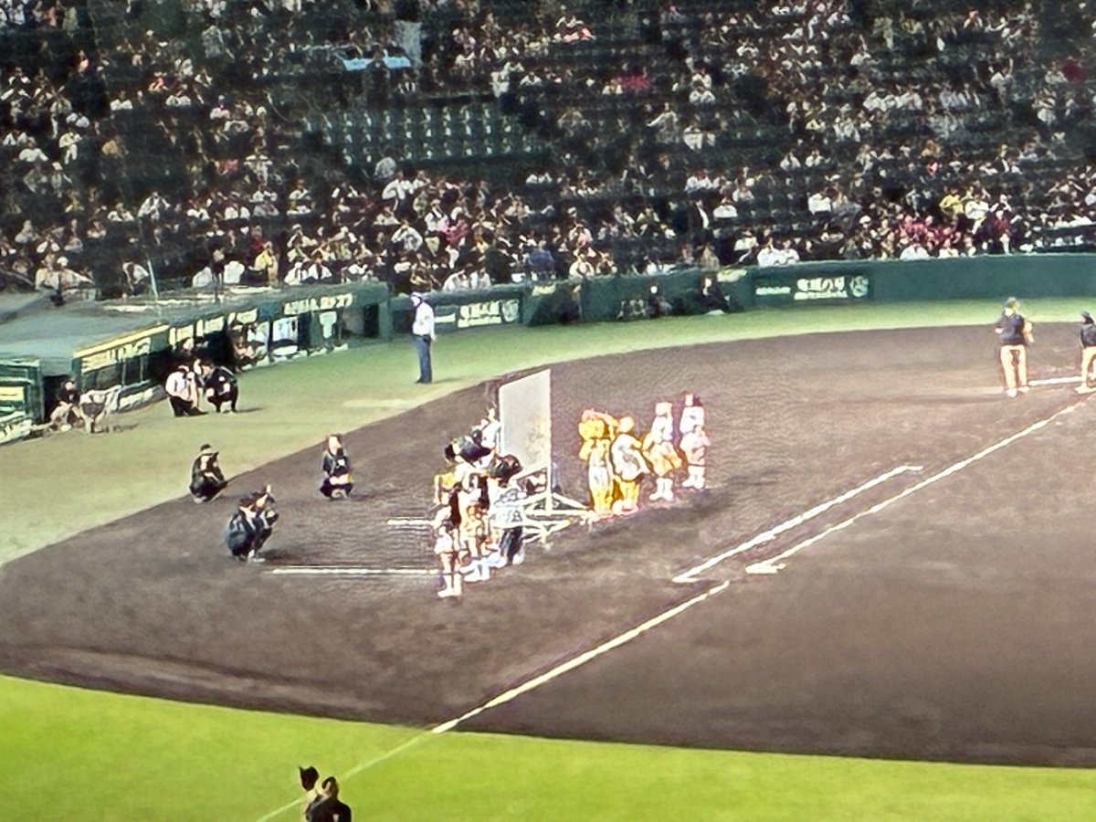 T_K_0702's tweet photo. 梅ちゃんよく転がした！
海くんよく走った！
みんなで勝利をもぎ取った！
よくやった、タイガース！
クライマックスも頼むで！
#阪神タイガース #梅野隆太郎 https://t.co/qC2eZc8Muc