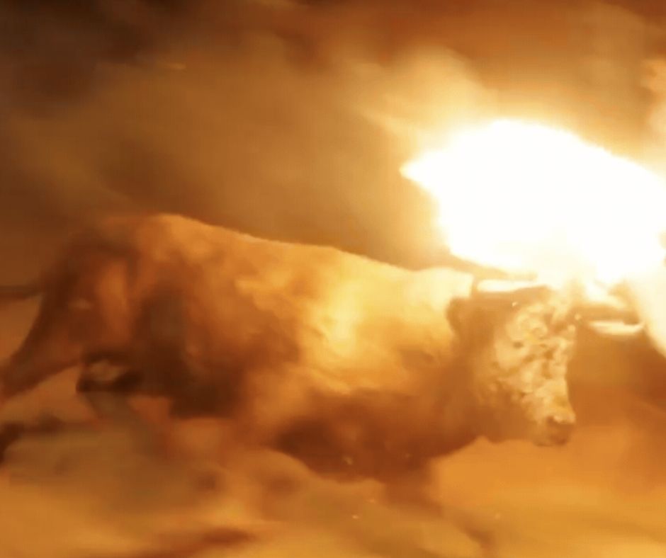 Network4Animals's tweet photo. 🇪🇸🐂 After suffering horrific cruelty at a Spanish fire bull festival, Polvorín was rescued from slaughter. He is finally safe, but needs lifelong care.

👉 Donate today and help give him the future he was denied:  https://t.co/JqDySGzkha https://t.co/wIlTzEnNXw