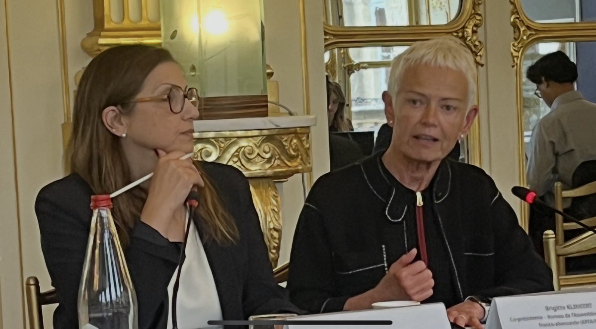 jerome_spinoza's tweet photo. Heute trifft sich der @DFKR_HCCFA 
🇩🇪🇫🇷 Kulturrat in Paris zu seiner 72. Sitzung

🙏🏼 an Kulturministerin @catherinepegard für Ihren Empfang und Begrüssung.

Die stimulierende Debatten haben sich u.a. mit Themen wie « KI &amp; Urheberrecht » oder das Projekt Arte+Europa 🇪🇺 befasst. https://t.co/tjZ0Xdk0gg