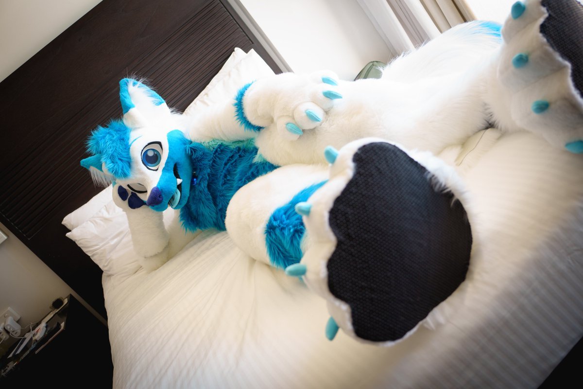 Spectra421's tweet photo. Don't keep a fox waiting~

📸- @SoftKittty_ https://t.co/9Dmv1v2c2g