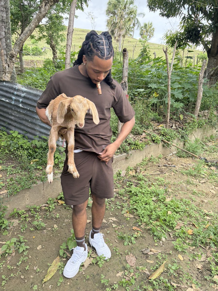 GlizzRilla's tweet photo. 🏝️ https://t.co/t2vm1oobha