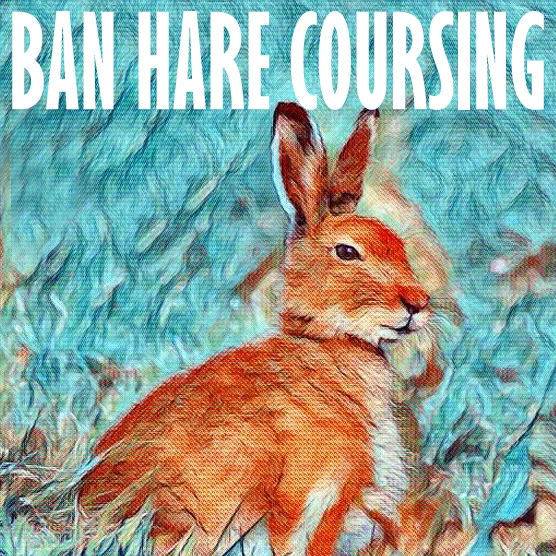 banbloodsports's tweet photo. Hares running for their lives on Saturday and Sunday at Trim/Westmeath, Cashel and Ballyheigue coursing meetings. Shame on the Irish Government for allowing this cruelty to continue https://t.co/ryHuvwvvFq @MichealMartinTD @SimonHarrisTD #Ireland #AnimalCruelty #BanHareCoursing https://t.co/aQiqs28H0o