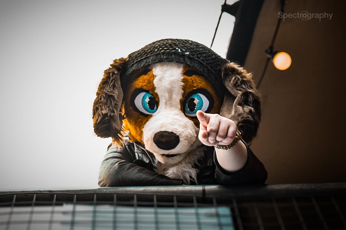 BeanThePunk's tweet photo. Big Thanks to @SixTheHellhound for taking me some pics at yorkfurs furmeet x3 They turned out amazing, thank you :3333

#furry #fursuiter #photographie #furhead https://t.co/havdfFpLDW