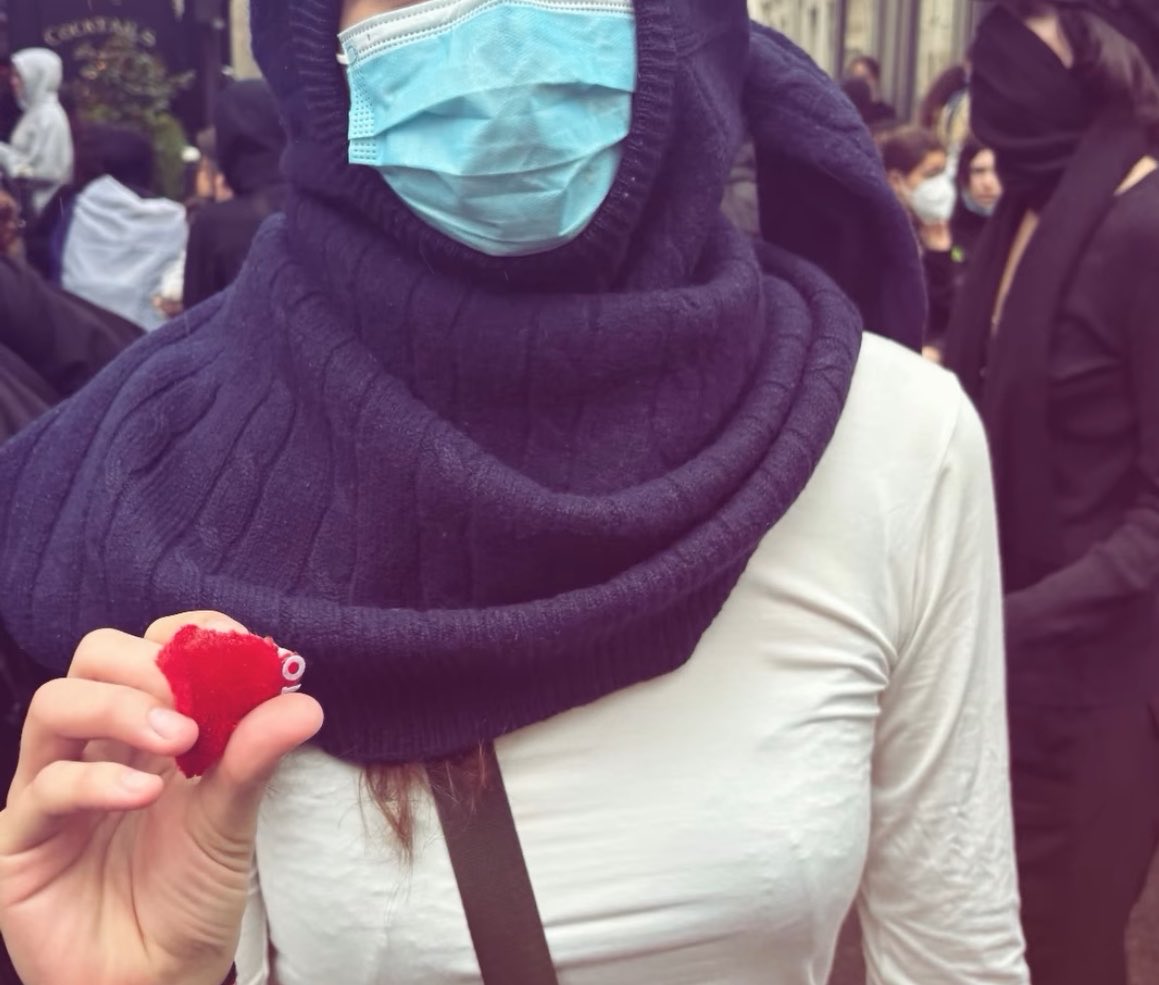 whaeva9's tweet photo. je transmettrai cet artefact rarissime à mes enfants (bout de bonnette frontières arraché au blocus de scpo) https://t.co/iRdd1xHQH0
