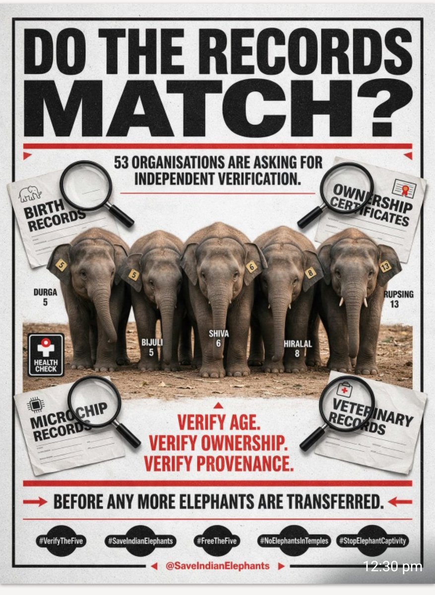 Seal4n's tweet photo. Five elephants,five lives,five stories that deserve the truth.Before any more transfer happen,verify their records independently and ensure their welfare comes first.
#SavttheIndianElephant
#VerifytheFive
#Freethefive
#StopElephantCaptivity https://t.co/XSqXeCuNwu