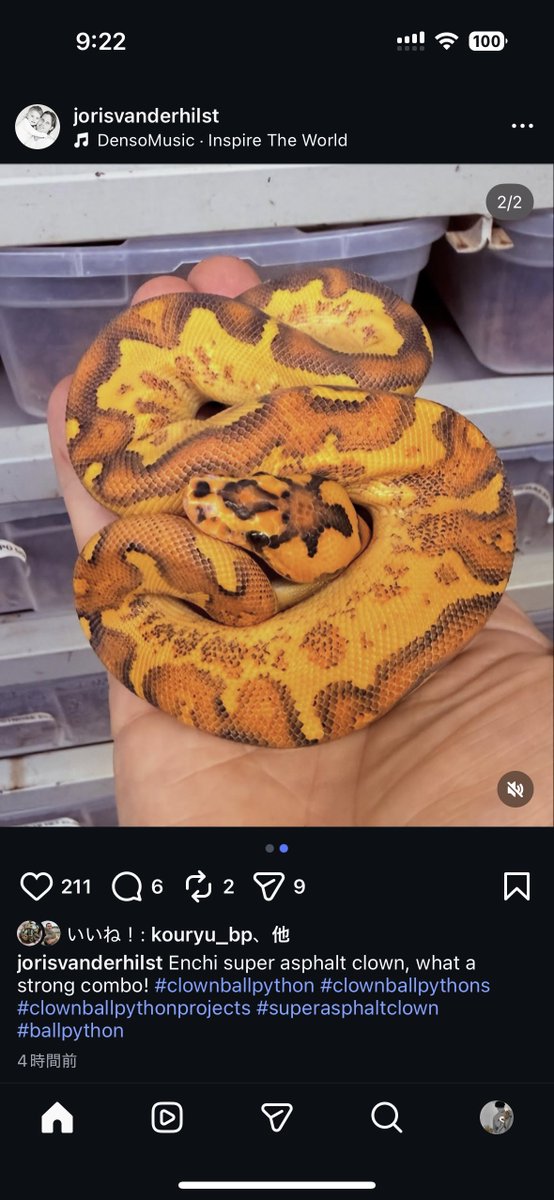 na___Python tweet picture