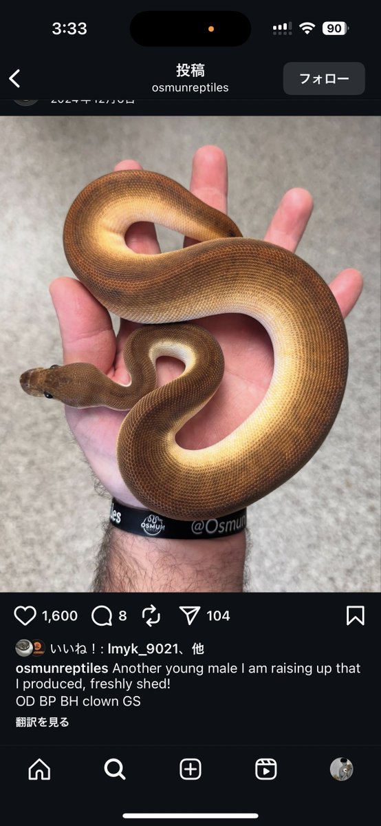 na___Python tweet picture