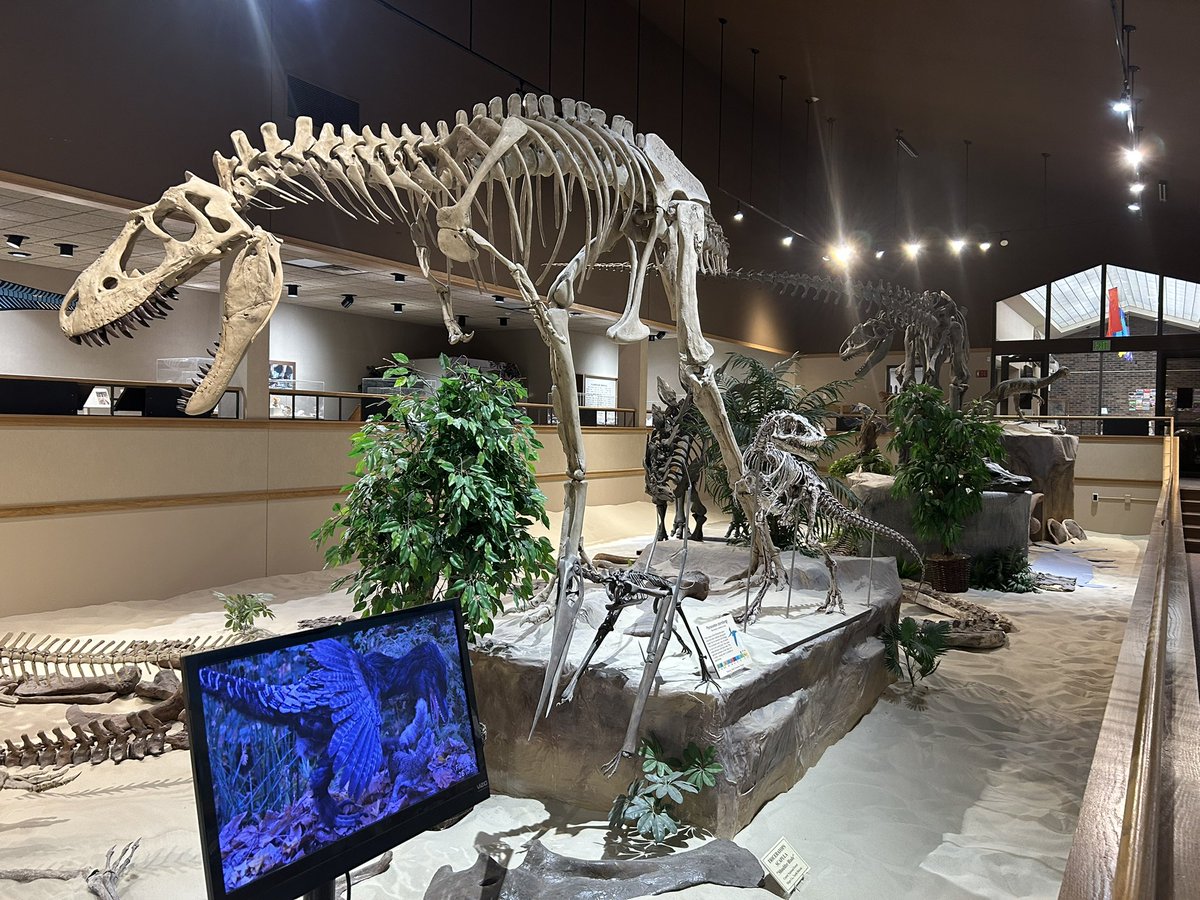TM9380's tweet photo. A new juvenile Albertosaurus specimen was just described, featuring feeding traces from dromaeosaurs. At 8 years old it’s the youngest of its kind to preserve skull material like this. Pretty cool stuff, linked below… https://t.co/C6dQZQQDIq
