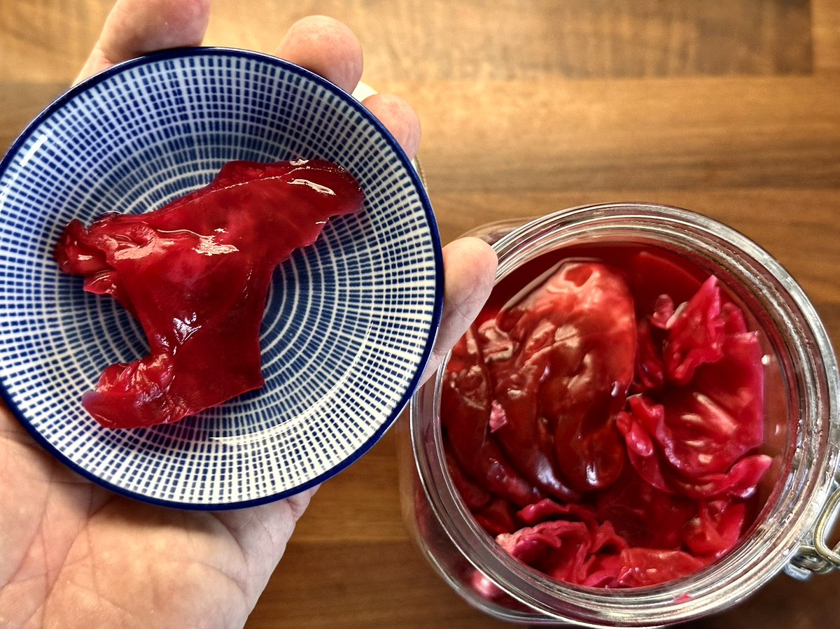 ClausCarlsen1's tweet photo. Fermented Red Cabbage 

Cut cabbage to your liking, place in mixing bowl, add min. 2% salt by total weight - I use 3% for crunch and acidity, mix, wait 2h, transfer to fermenter - I use a French press, let ferment 7-14+ days, transfer to glass container and fridge, Enjoy. https://t.co/9Jal7nRpdn