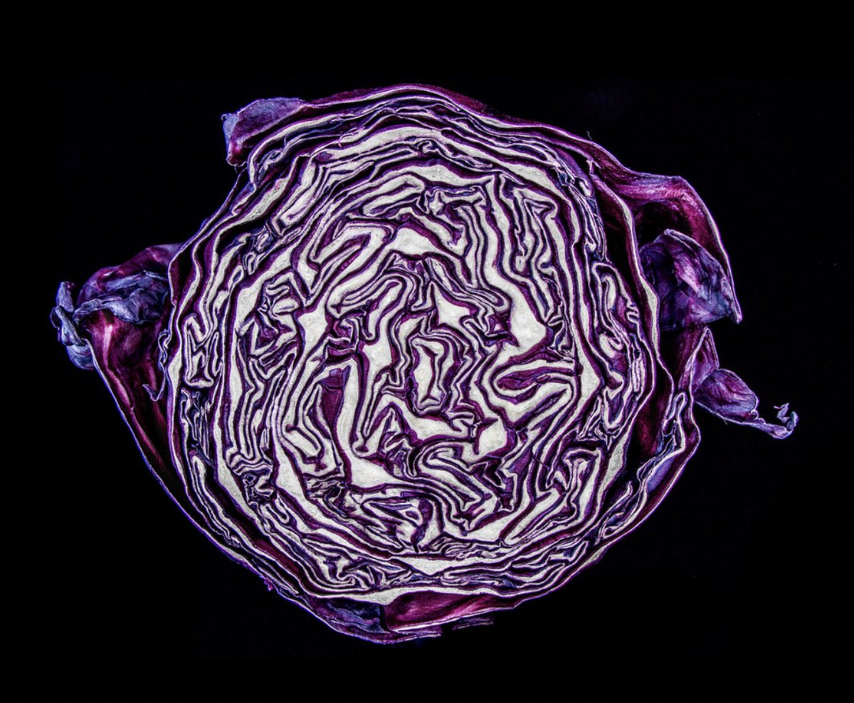 ClausCarlsen1's tweet photo. Fermented Red Cabbage 

Cut cabbage to your liking, place in mixing bowl, add min. 2% salt by total weight - I use 3% for crunch and acidity, mix, wait 2h, transfer to fermenter - I use a French press, let ferment 7-14+ days, transfer to glass container and fridge, Enjoy. https://t.co/9Jal7nRpdn