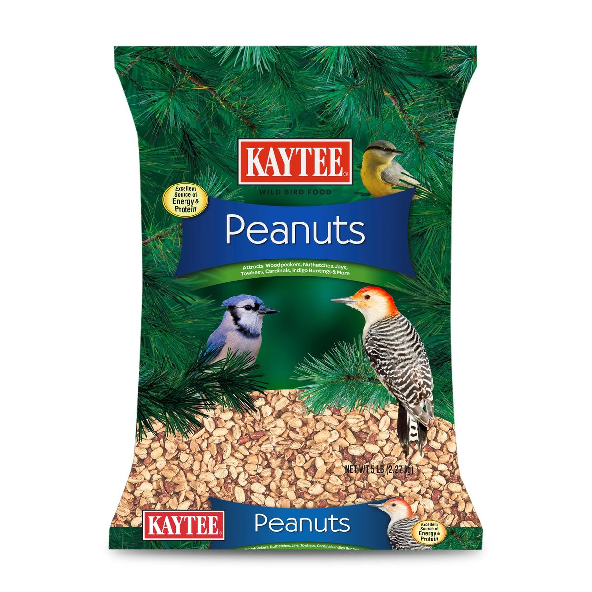 seawurth's tweet photo. @gummyuy what about… peanits… 🥹🤲🏼🥜 https://t.co/I6LyYxY5Cw
