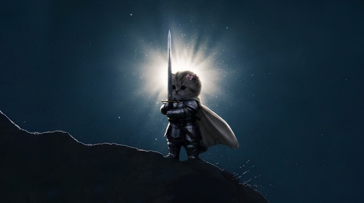 escanoaar's tweet photo. the fud and the dips may try to cast a shadow, but this community shines brighter. 

hold the line.

eat the dip.

$swordcat https://t.co/3ln8m6KCaH
