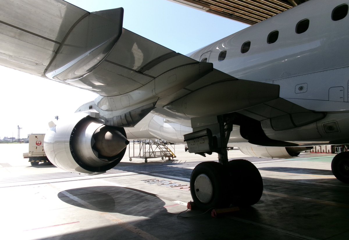 sanai3131's tweet photo. 伊丹空港「空の日」に行ってきました！

普段は入ることのできない、実際に整備士の方が使用している格納庫を見学！間近で見る飛行機は大迫力でした✈️

空港のマスコットキャラクター「そらやん」にも会うことができました☁️
可愛かったです❤️‍🔥

＃伊丹空港　＃空の日　＃そらやん　＃格納庫　#飛行機 https://t.co/7jqYhR7BpN