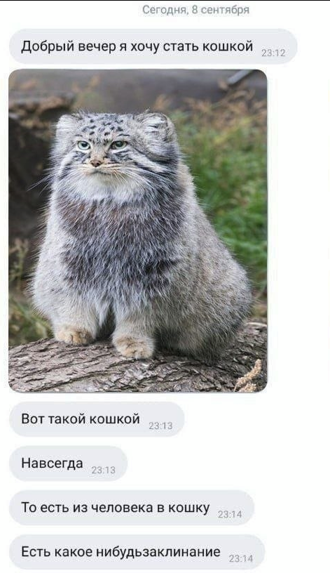 yummy_tyan