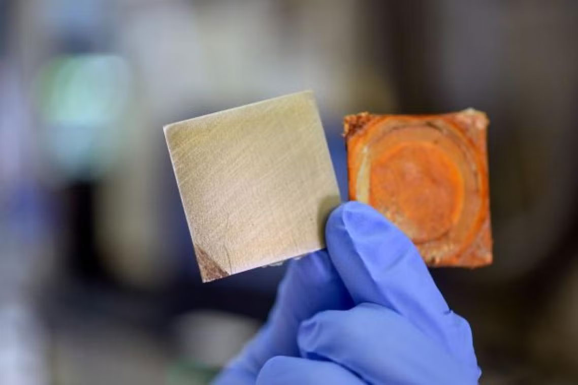 materialdistrct's tweet photo. Self-Healing Coating Could Extend Corrosion Protection for Steel https://t.co/IjrqxTrlF9
#MaterialInspiration #Materials #MaterialInnovation #SelfHealingMaterials #SmartCoatings #CorrosionProtection #Nanotechnology #Steel #MaterialDurability #Architecture #ProductDesign https://t.co/FYRluwQ0uz