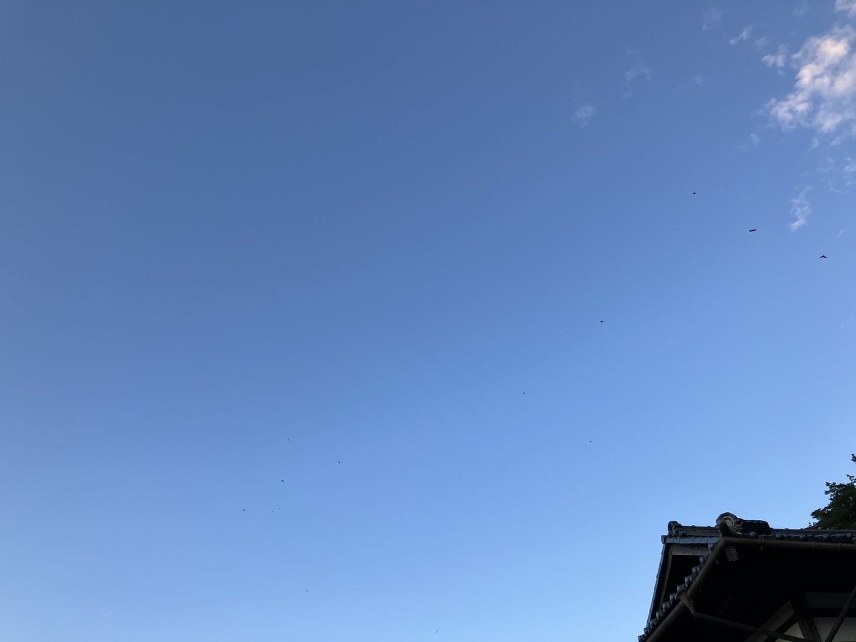 koinobori3's tweet photo. 製造、発送、精米！

10/10店舗営業！ https://t.co/EbGTFlmAu1